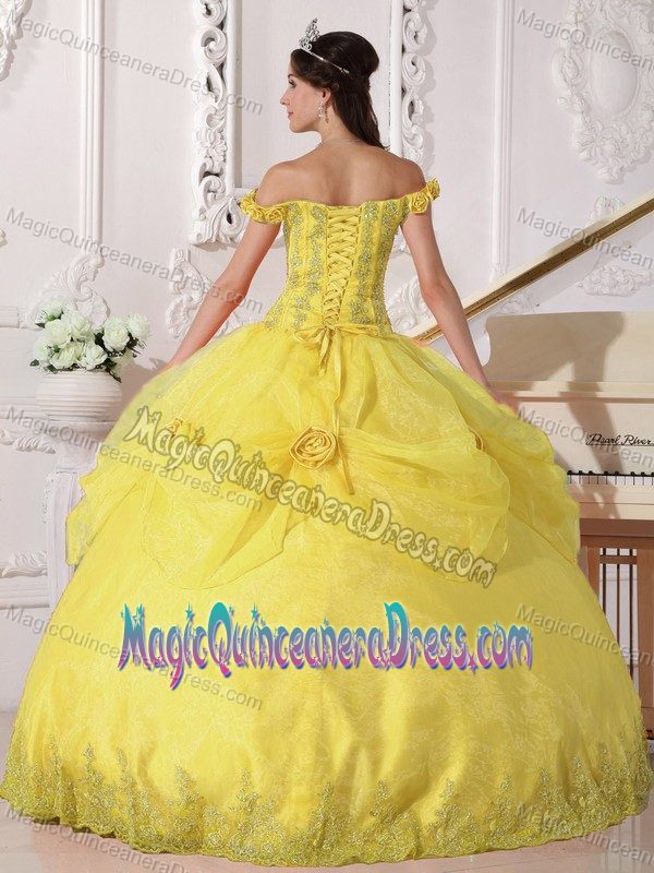 Off the Shoulder Appliqued Yellow Quince Dress with Hand Flowers