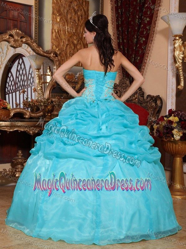 Blue Strapless Floor-length Organza Quince Dresses with Appliques