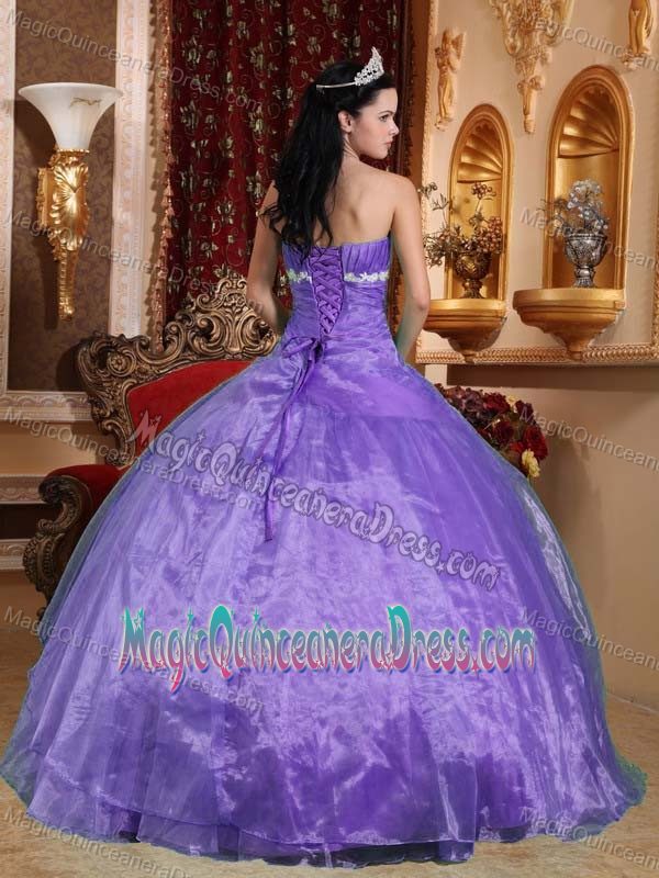 Strapless Floor-length Organza Quinceanera Dress with Appliques in Los Andes