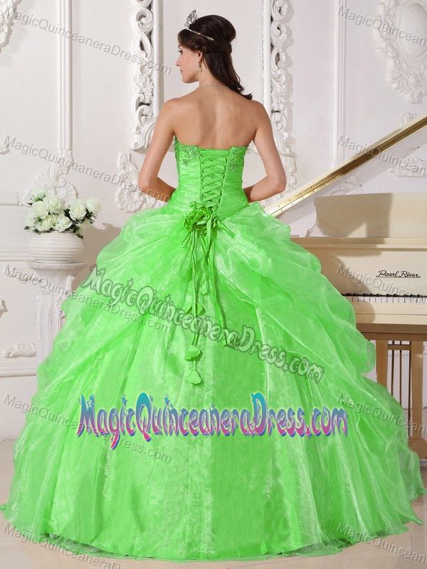 Spring Green Strapless Embroidered Quince Dress with Beading in Concon