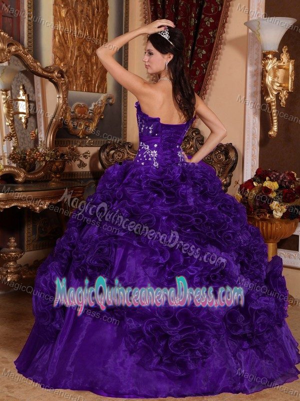 Purple Strapless Floor-length Organza Appliqued Quinceanera Dress