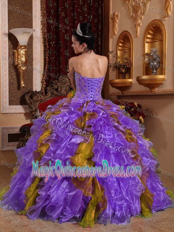 Sweetheart Floor-length Organza Quinceanera Dress with Beading in Valparaiso
