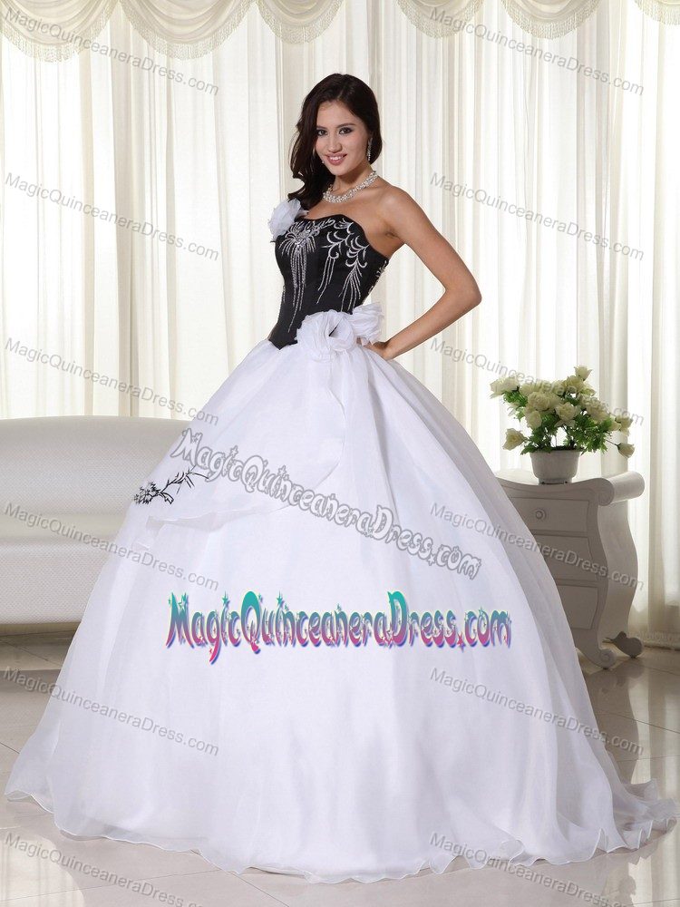 Strapless Organza Embroidered Quinceanera Dress in White in Auburn