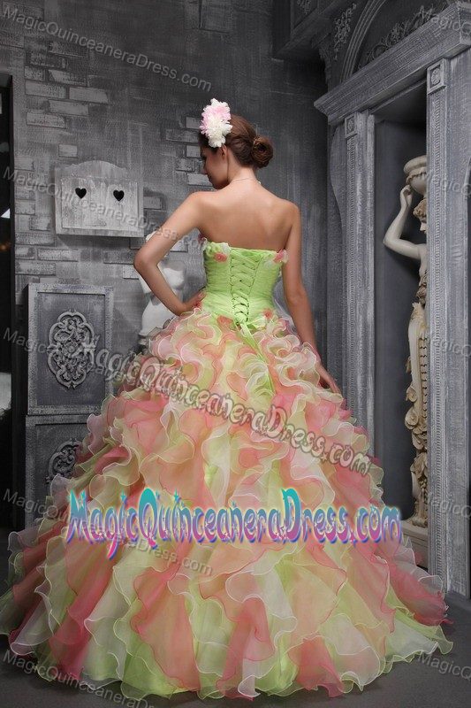 Strapless Hand Flowery Quinceanera Gown Dress in Multi-color in Waco