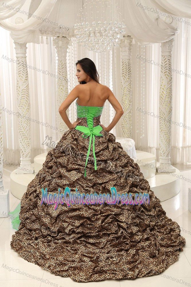 Leopard Beaded Sweetheart Quinceanera Gown Dress in Yapacan Bolivia