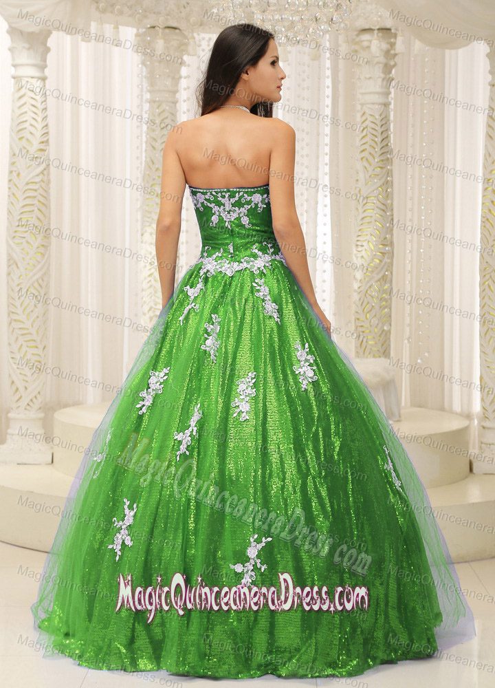 Modest A-line Sweet 15 Dresses With Appliques Paillette Over Skirt in Framingham