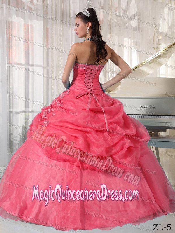 On Sale Watermelon Strapless Organza Appliques Quinceanera Dress in Bedford