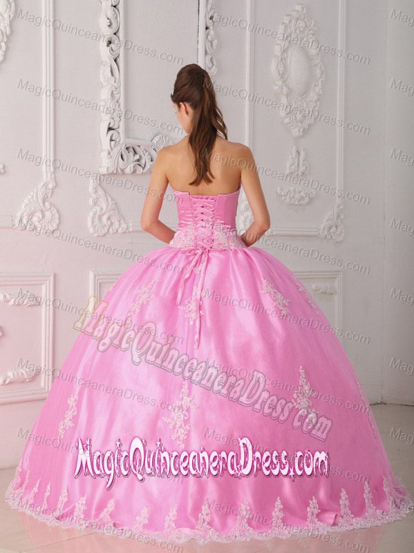 Strapless Floor-length Lace Appliqued Quinceanera Dress in Pink in Franklin