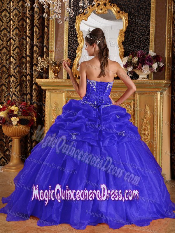 Blue Sweetheart Organza Appliqued Quinceanera Dress with Beading