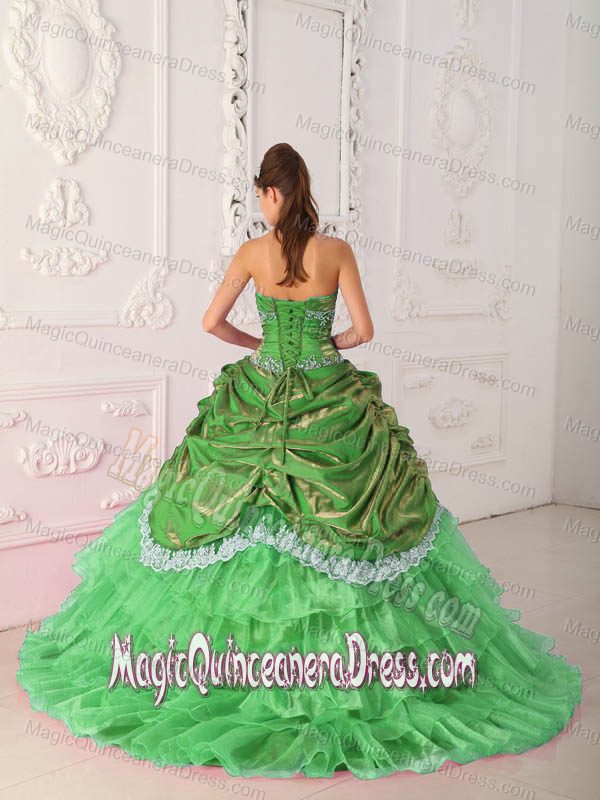 Strapless Lace Appliqued Quinceanera Dress in Spring Green in Mendoza