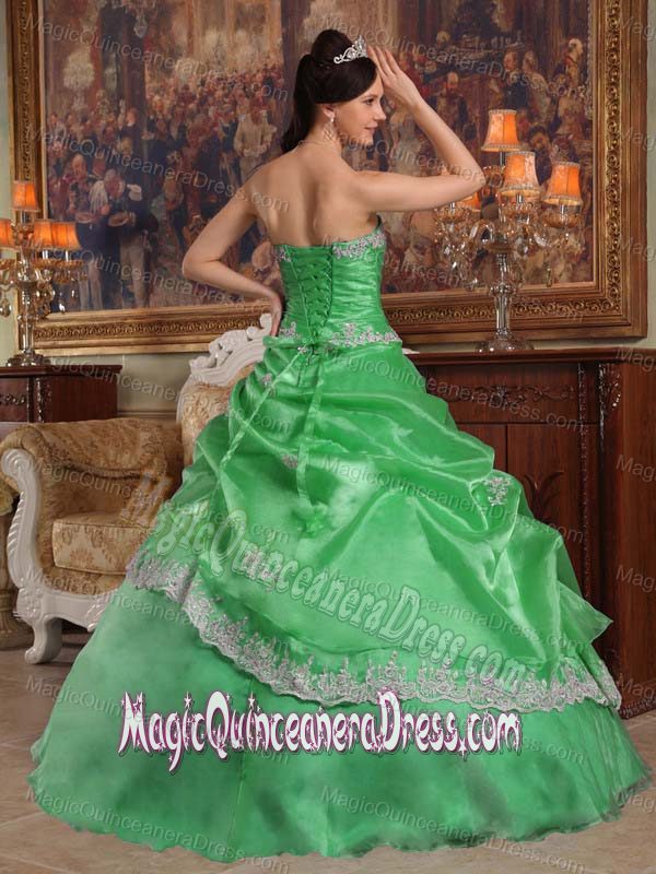 Sweetheart Appliqued Organza Quinceanera Dress in Green in Castelar Argentina