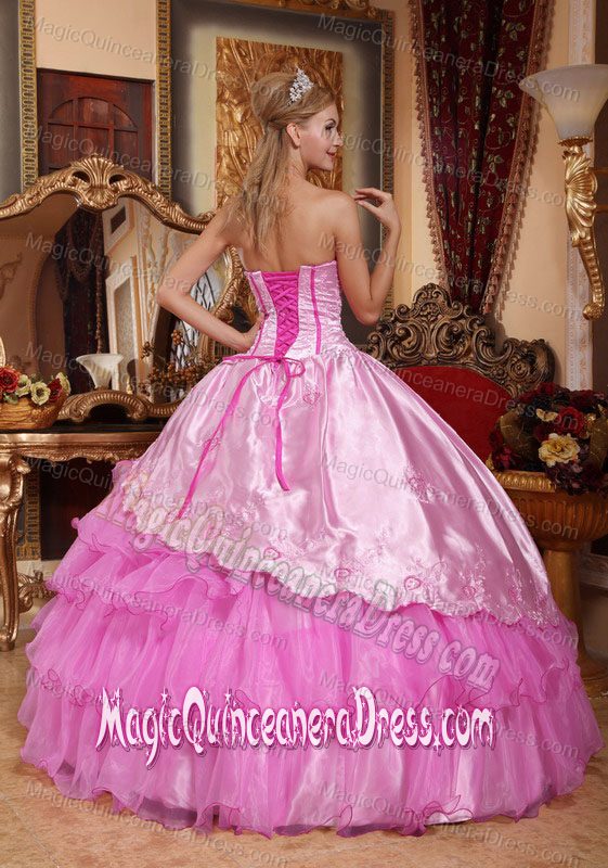 Pink Floor-length Quinceanera Dresses with Embroidery in Caseros Argentina