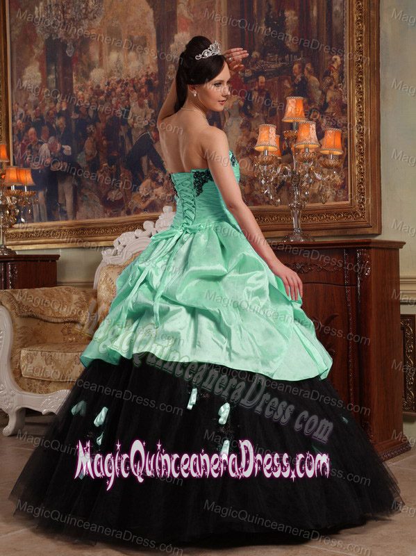 Sweetheart Hand Flowery Quince Dresses in Apple Green and Black
