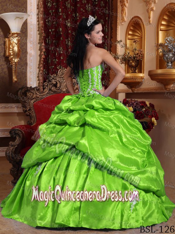 Strapless Taffeta Appliqued Quinceanera Dress in Spring Green in Temperley
