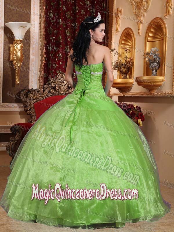 Strapless Floor-length Organza Quinceanera Dress with Appliques in Palpala