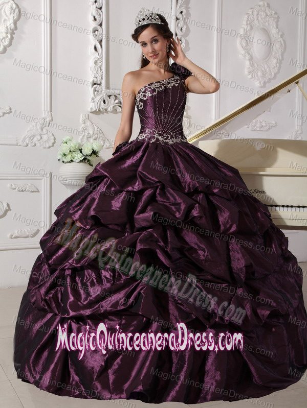 Purple One Shoulder Appliques Quinceanera Dress with Pick-ups in San Justo