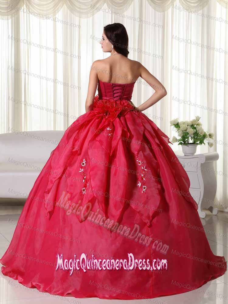 Red Strapless Organza Dresses For Quinceanera with Appliques in Ituzaingo