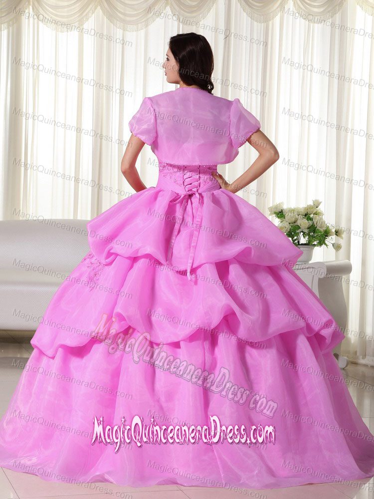 Strapless Organza Hand Flowery Quinceanera Dress in Hot Pink in Ro Cuarto