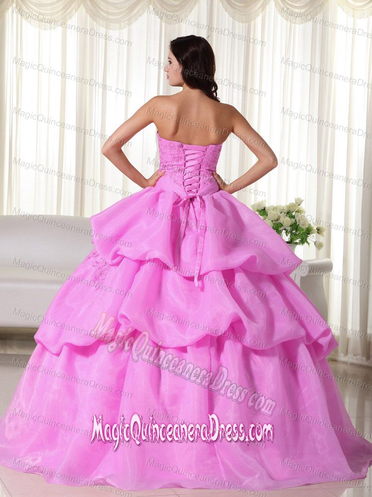 Strapless Organza Hand Flowery Quinceanera Dress in Hot Pink in Ro Cuarto
