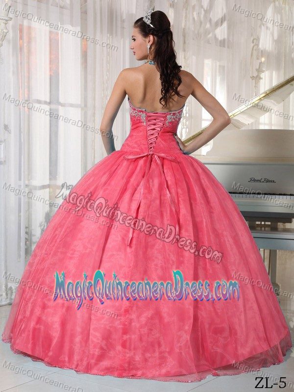 Beading and Ruching Decorated Puffy Quinceaneras Dress in Dodgeville WI