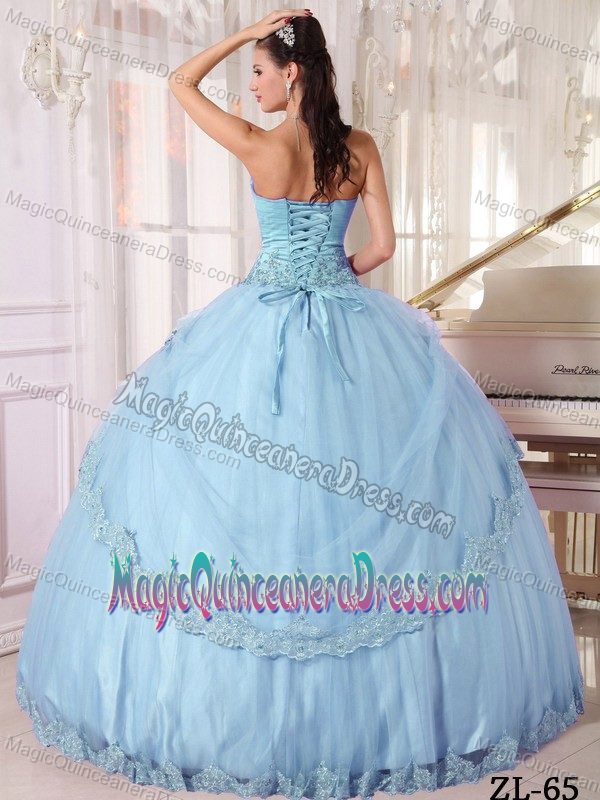 Ball Gown Sweetheart Quinceanera Gown Dresses with Lace Edge in Elkhorn