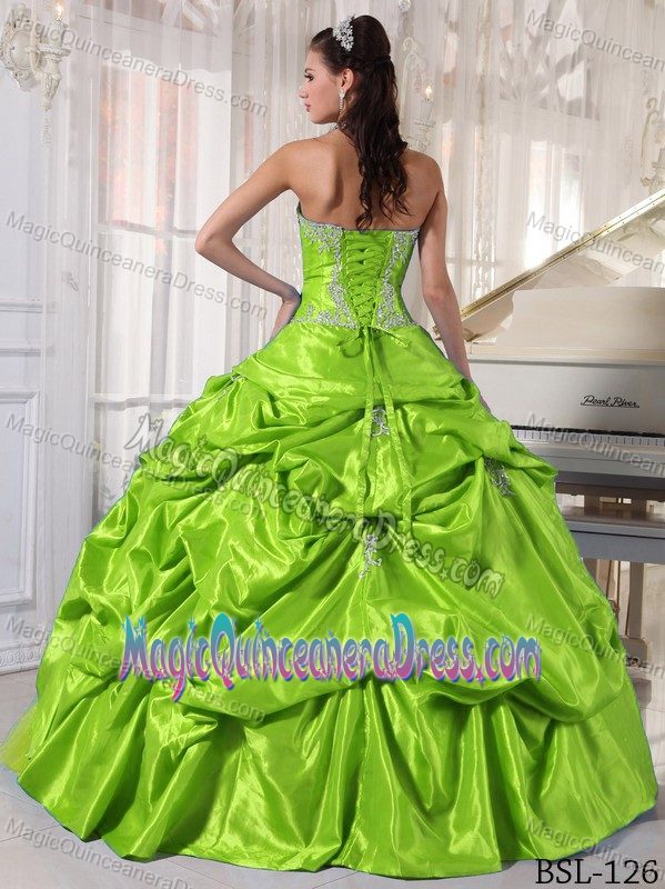 Beaded Appliques and Pick Ups Green Quinceanera Gowns in Green Lake WI
