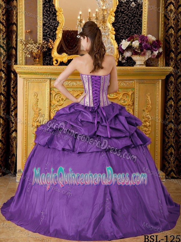 Clear Purple Pick Ups Bodice Quince Dresses with Embroidery near Spencer