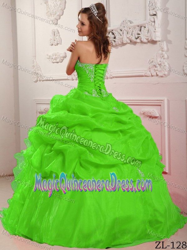 Green Pick Ups and Ruching Dress For Quinceanera near Harpers Ferry