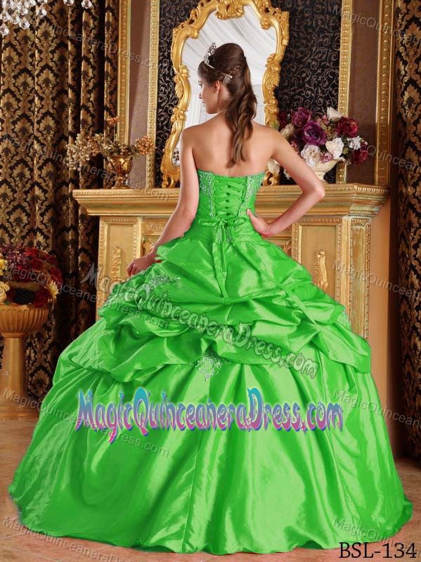 Embroidery and Pick Ups Green Quinceanera Gown Dresses in Snoqualmie