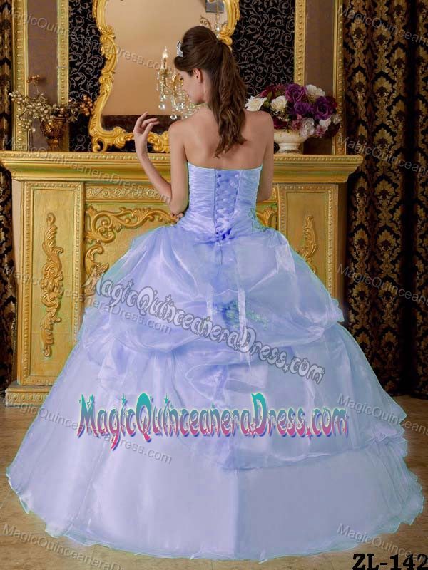 Ruche Appliques and Pick Ups Lavender Quinceanera Dress in Washougal
