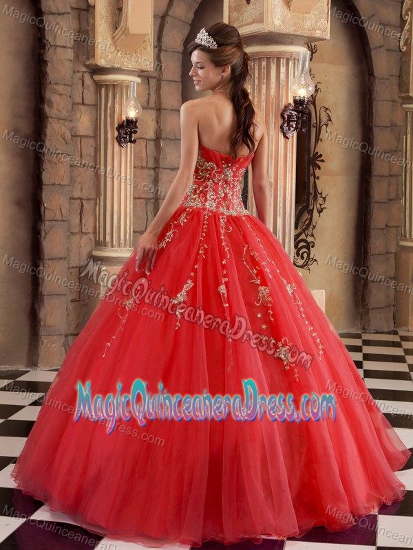 Red Sweetheart Dress For Quinceanera with Appliques in White Salmon