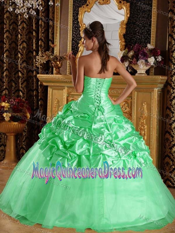 Apple Green Beaded and Ruched Bodice Dress for Quince in Woodinville