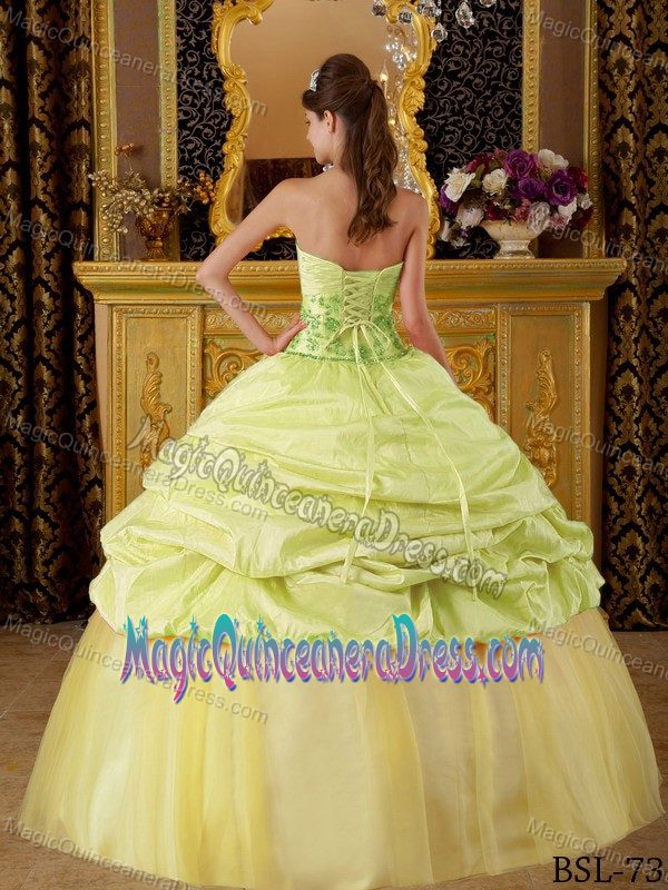 Yellow Green Pick Ups and Handle Flowers Sweet 16 Dresses in Vancouver