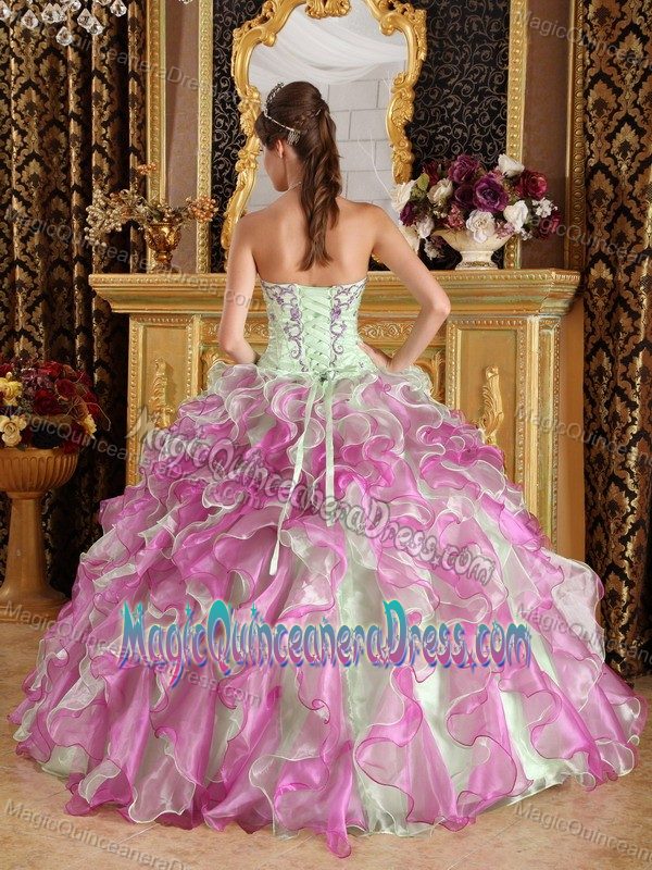 Multi-color Ruffles and Embroidery Decorated Quinceanera Dresses in Pasco