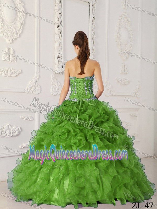 Green Appliques and Ruffles Decorated Quinceanera Dress in Oak Harbor