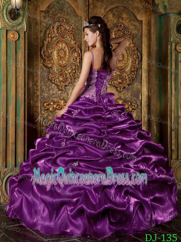 Eggplant Purple Straps Taffeta Beading and Appliques Quinceanera Gown Dresses