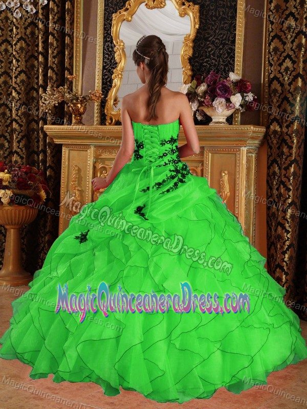 Green Ball Gown Sweetheart Organza Appliques Quinceanera Dress in Springfield