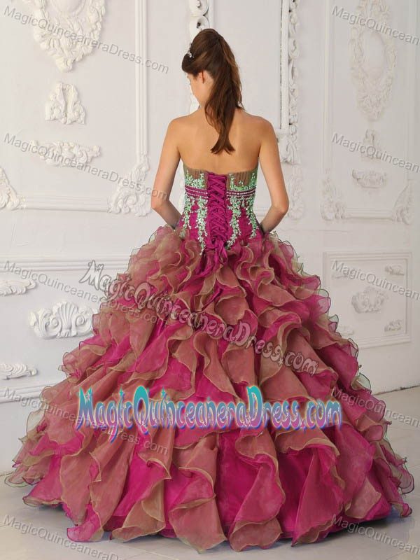 Fuchsia Strapless Organza Ruffles and Appliques Quinceanera Gown Dresses