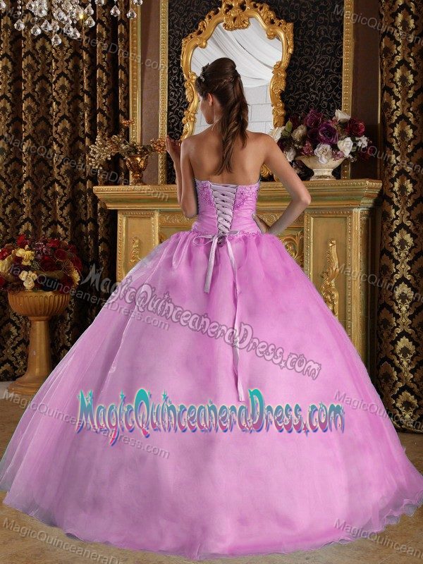 Pink Ball Gown Sweetheart Organza Beading Quinceanera Dress in Jefferson City