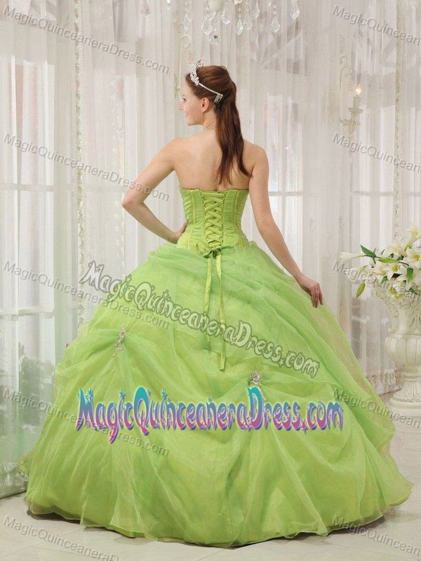 Yellow Green Sweetheart Organza Quinceanera Gown Dresses with Appliques