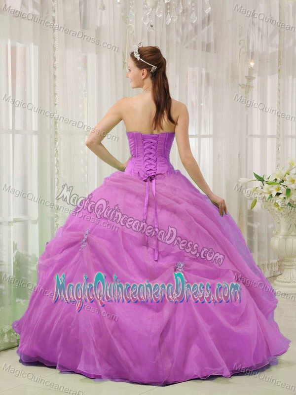 Ball Gown Sweetheart Organza with Appliques Quinceanera Dress in Branson
