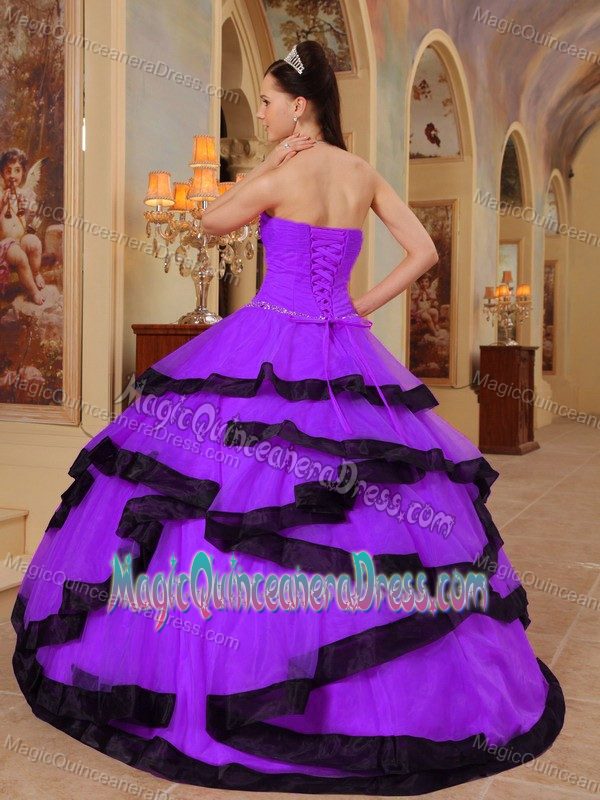 Purple Ball Gown Strapless Organza Quinceanera Dress with Beading in Jackson