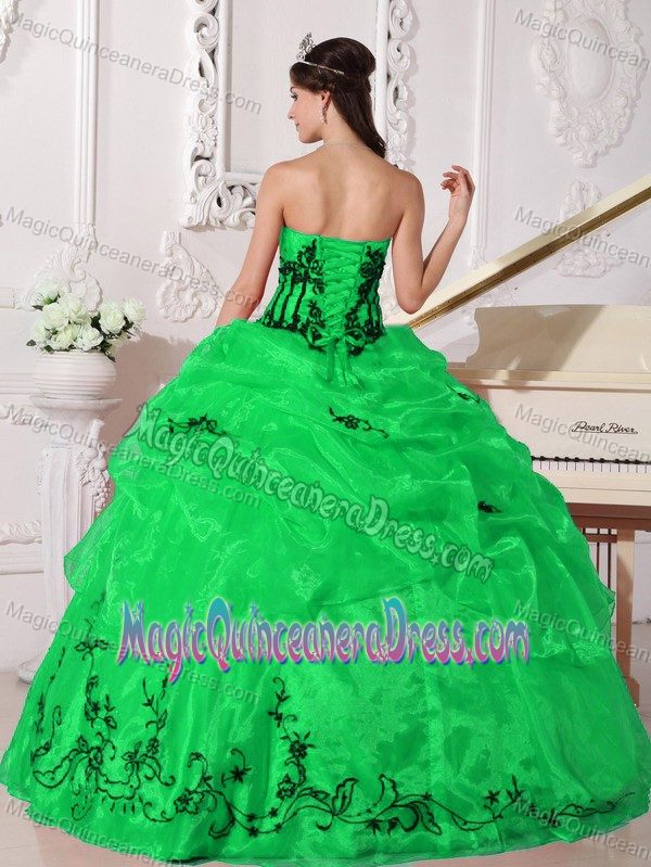 Strapless Green Organza with Black Appliques Quinceanera Dress in Wayzata