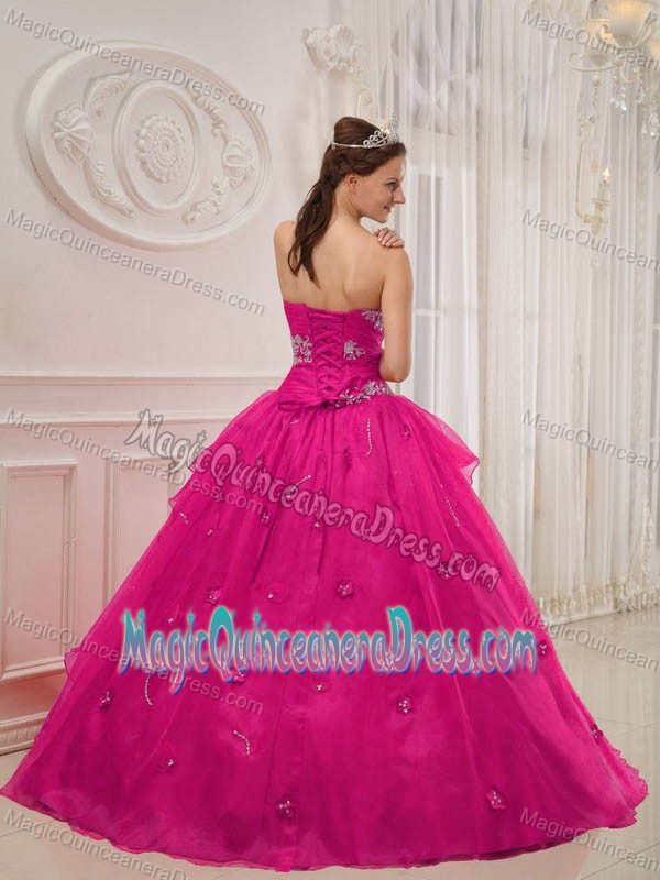 Hot Pink Strapless Taffeta and Organza with Appliques Quinceanera Dress