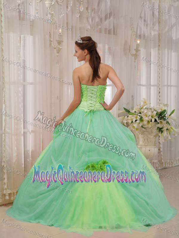 Two-toned Green Strapless Quinceanera Dress with Hand Made Flowers