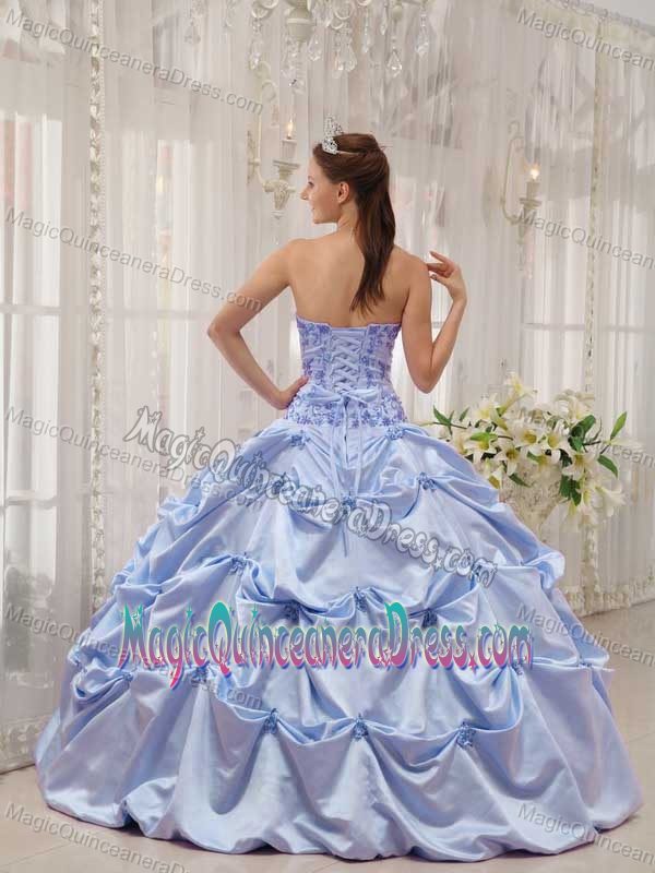 Lavender Strapless Taffeta Appliques and Pick-ups Quince Dress in Burnsville