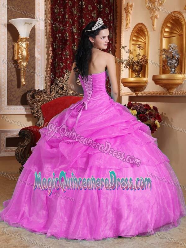 Ball Gown Strapless Organza Quinceanera Dress with Beading in Bloomington