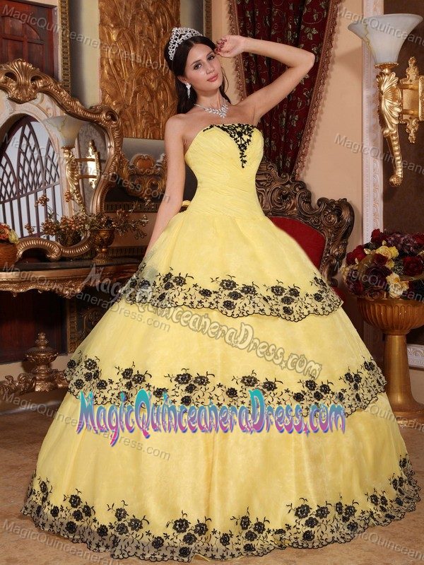Yellow Ball Gown Strapless Organza with Lace Appliques Quinceanera Dress