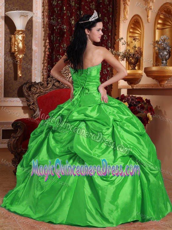 Spring Green Strapless Taffeta with Beading and Pick-ups Quinceanera Dress