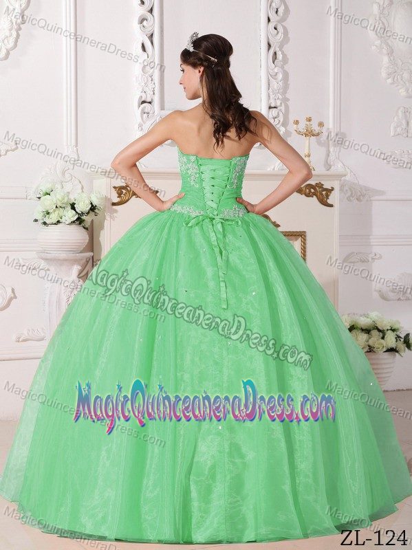 Apple Green Strapless Appliques Quinceanera Gown Dresses in Sterling Heights